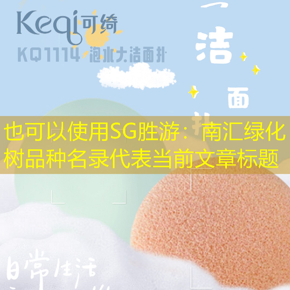 南汇绿化树品种名录 南汇绿化树品种名录