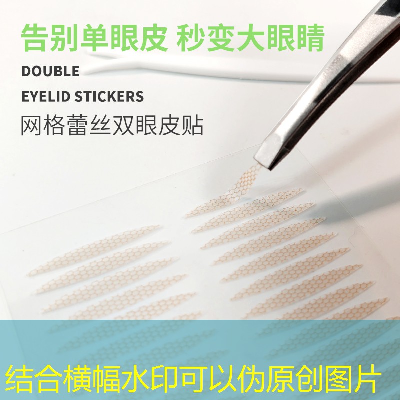 娄底城市里的绿化有哪些